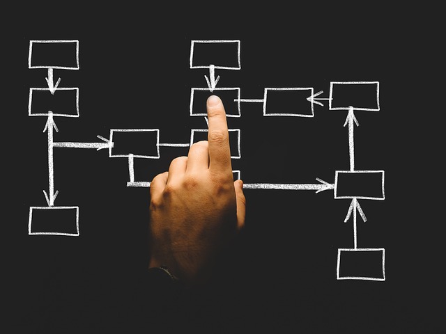 organizační diagram
